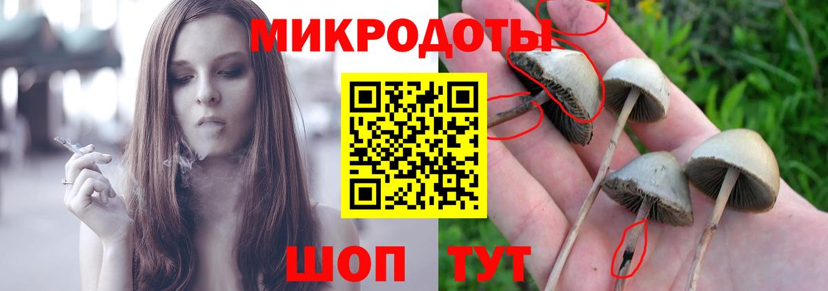 Псилоцибиновые грибы Magic Shrooms Сургут